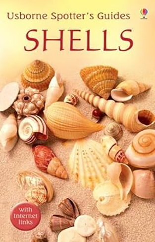 Shells (Usborne Spotter's Guide)